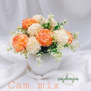 Chậu hoa tú cầu cắm sẵn m03