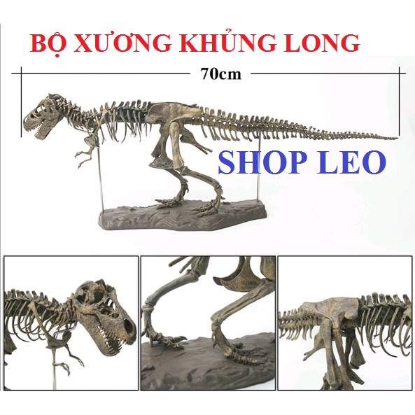 MÔ HÌNH BỘ XƯƠNG KHỦNG LONG - MÔ HÌNH TRANG TRÍ HỒ CÁ