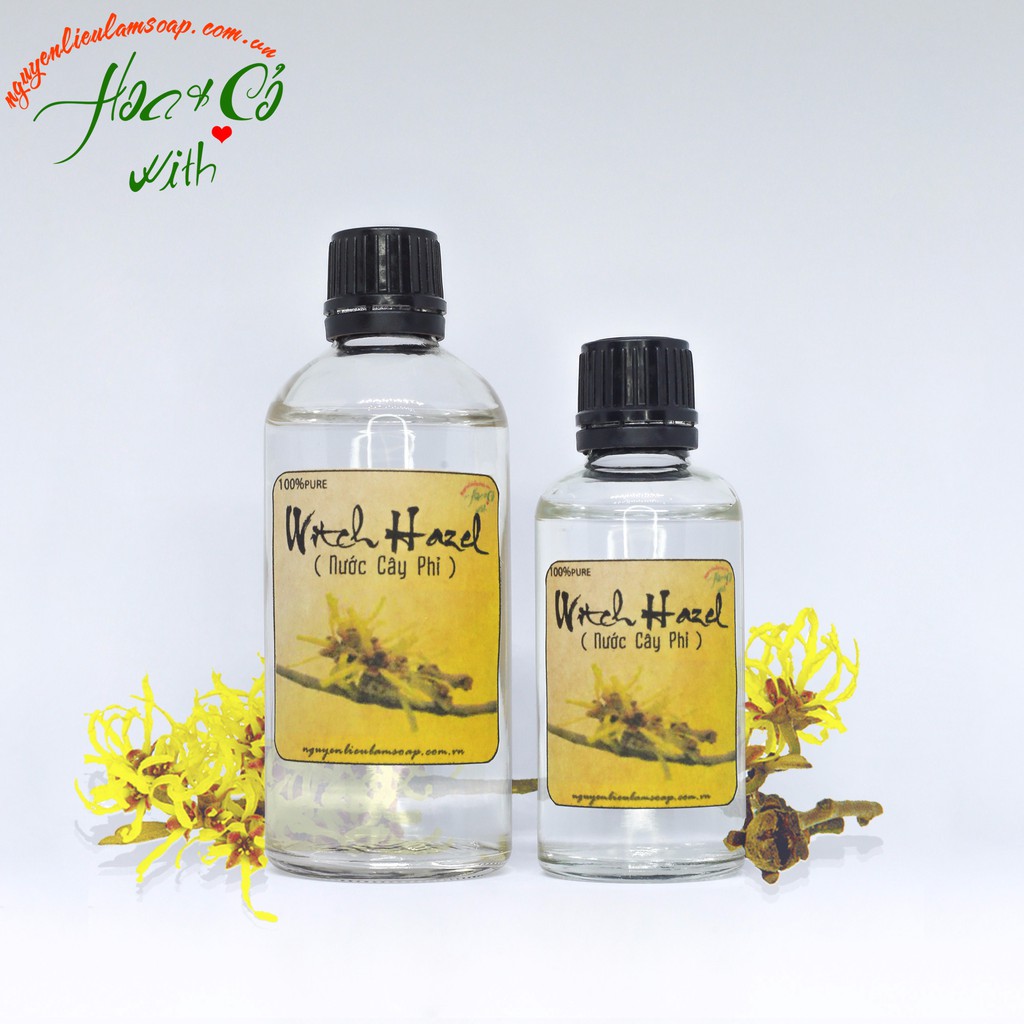 Nước cân bằng da cây phỉ ( Witch Hazel )