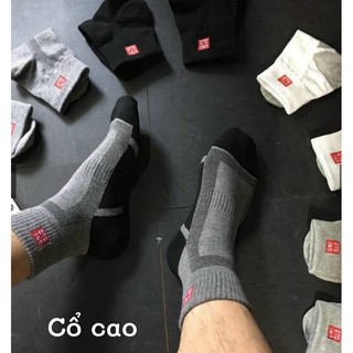 Combo 5 đôi tất nam cổ cao