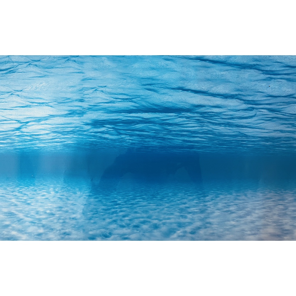 Tranh Nền Trang Trí Hồ Cá - có 2 mặt tùy thích thay đổi (giao mẫu ngẫu nhiên)