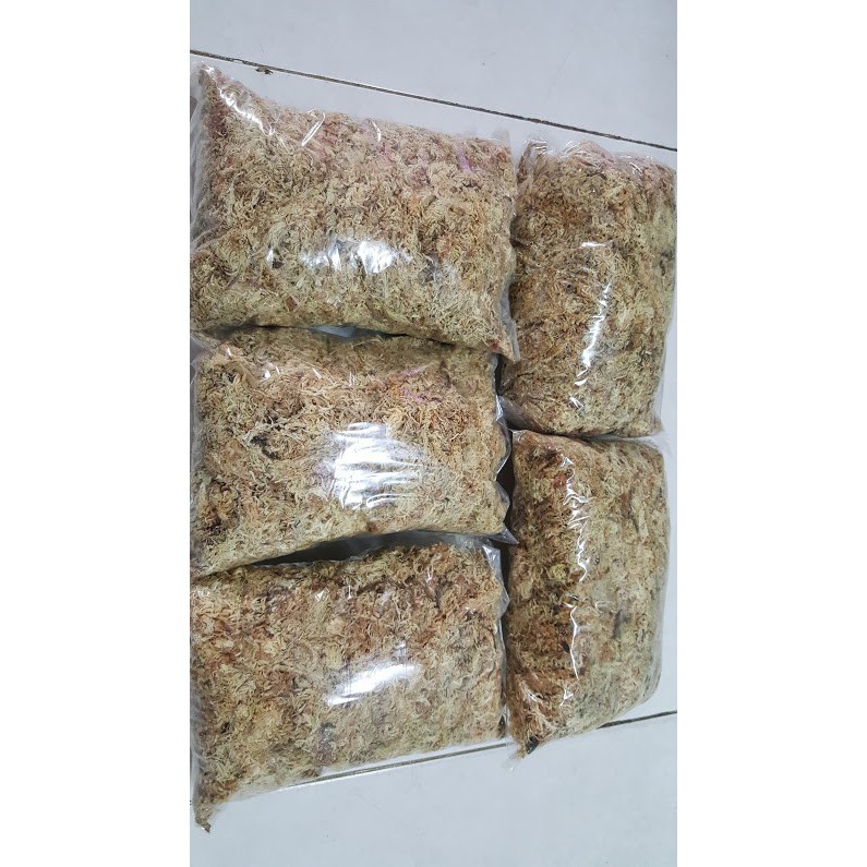 Dớn Chile loại 1- chilemoss