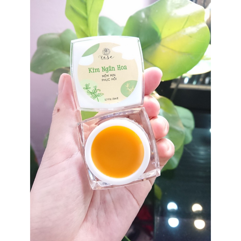 KIM NGÂN HOA [ CAO THẢO DƯỢC ROSE MẪU MỚI]