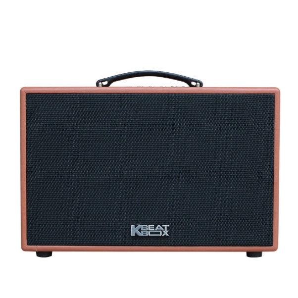 Loa Karaoke ACNOS CS200 - Hàng chính hãng