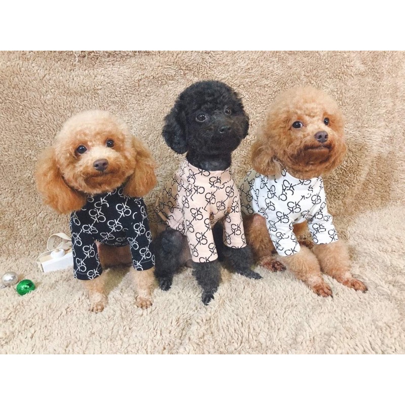 [ Hot sale ] Áo thun nỉ da cá C.K cho thú cưng