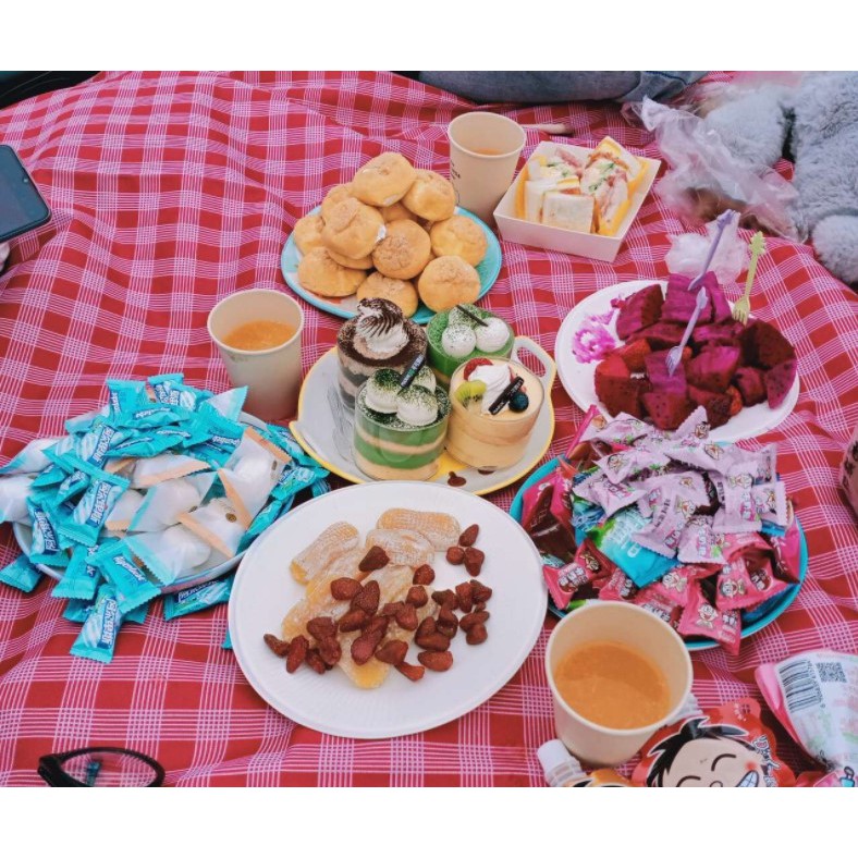 Thảm picnic hewolf tấm lót lều cao cấp dành riêng cho cắm trại, dùng trải công viên cho bé chơi nhiều mẫu đẹp | BigBuy360 - bigbuy360.vn