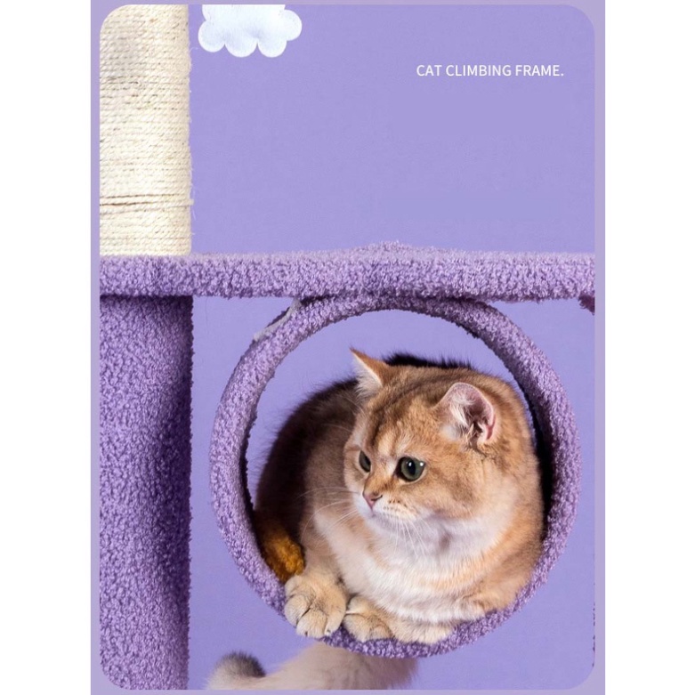 🌈TRỤ CÀO MÓNG, NHÀ CÂY LEO TRÈO CHO MÈO🌈 CỬA HÀNG MIN MON