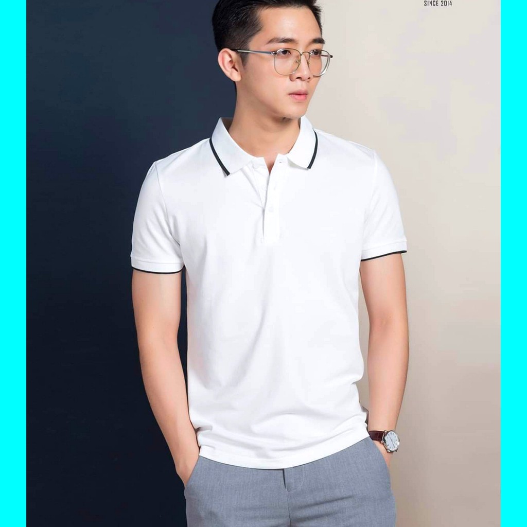 Áo Thun Polo Nam Có Cổ 🌟 Vải Cá Sấu Cao Cấp Thoáng Mát 🌟DAINGANSTORE🌟