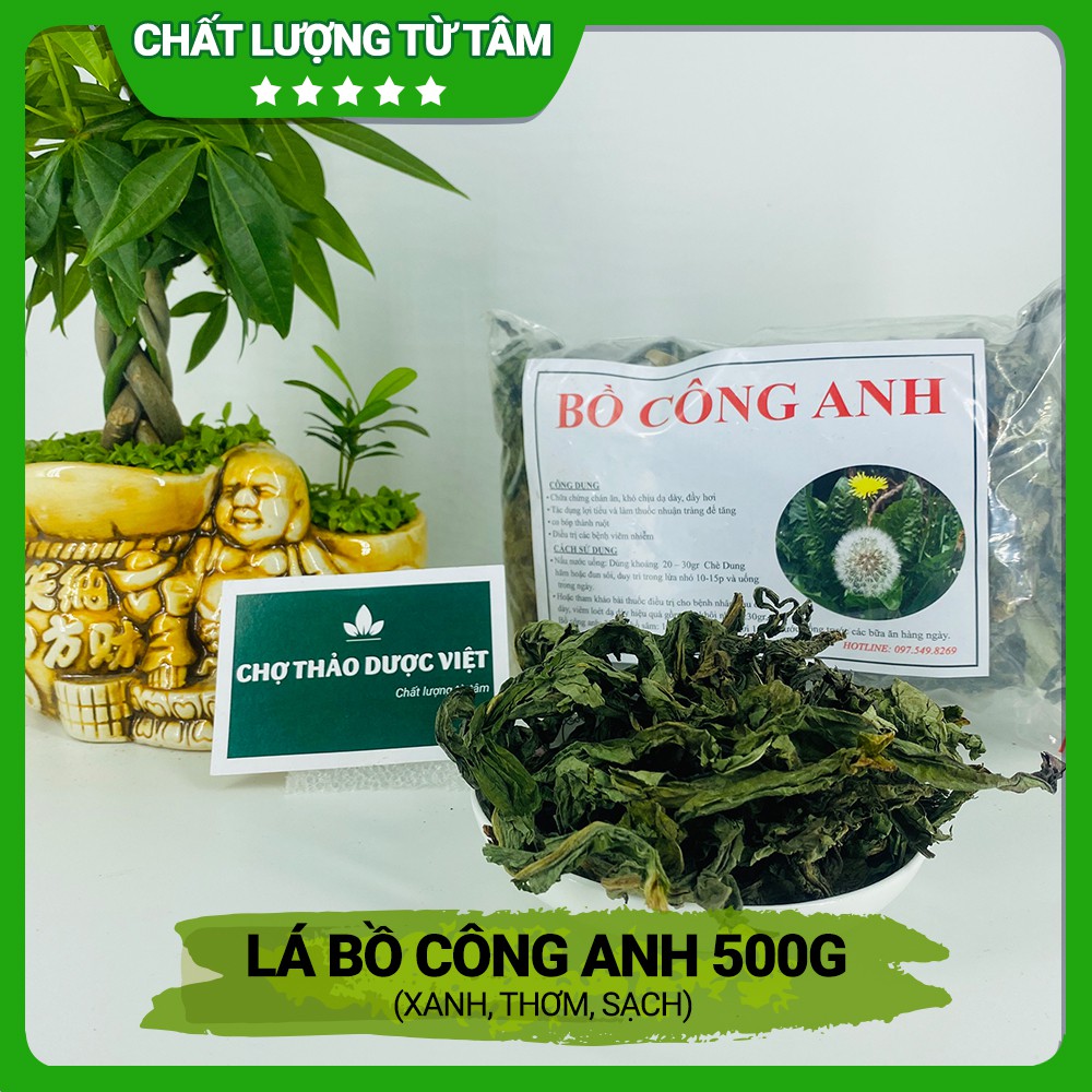 [Giá Sỉ] 500gr Bồ Công Anh (Xanh, Thơm, Sạch)