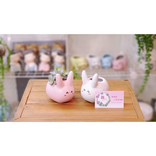 Chậu sứ trồng cây hình thú