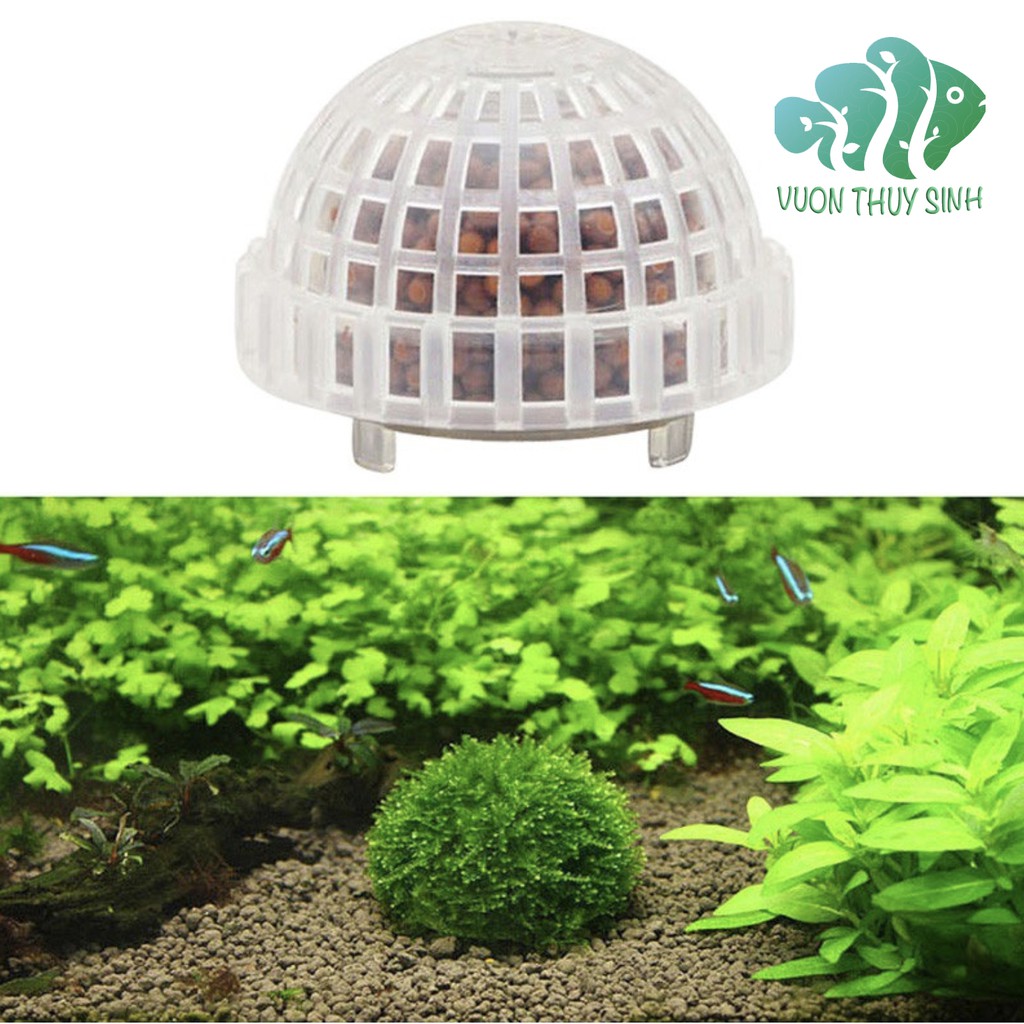 Quả cầu nhựa buộc  rêu chứa khoáng tép BEEBALL trang trí bể cá