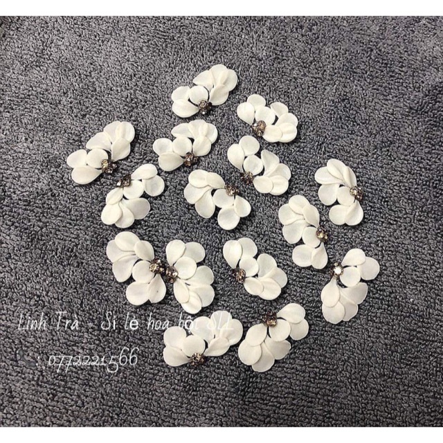 Hoa linh nail
