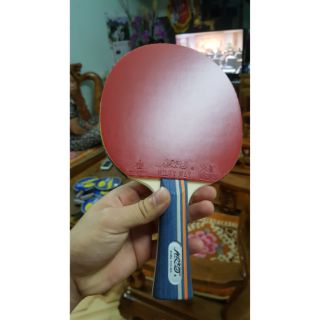 Vợt bóng bàn yinhe dán sẵn