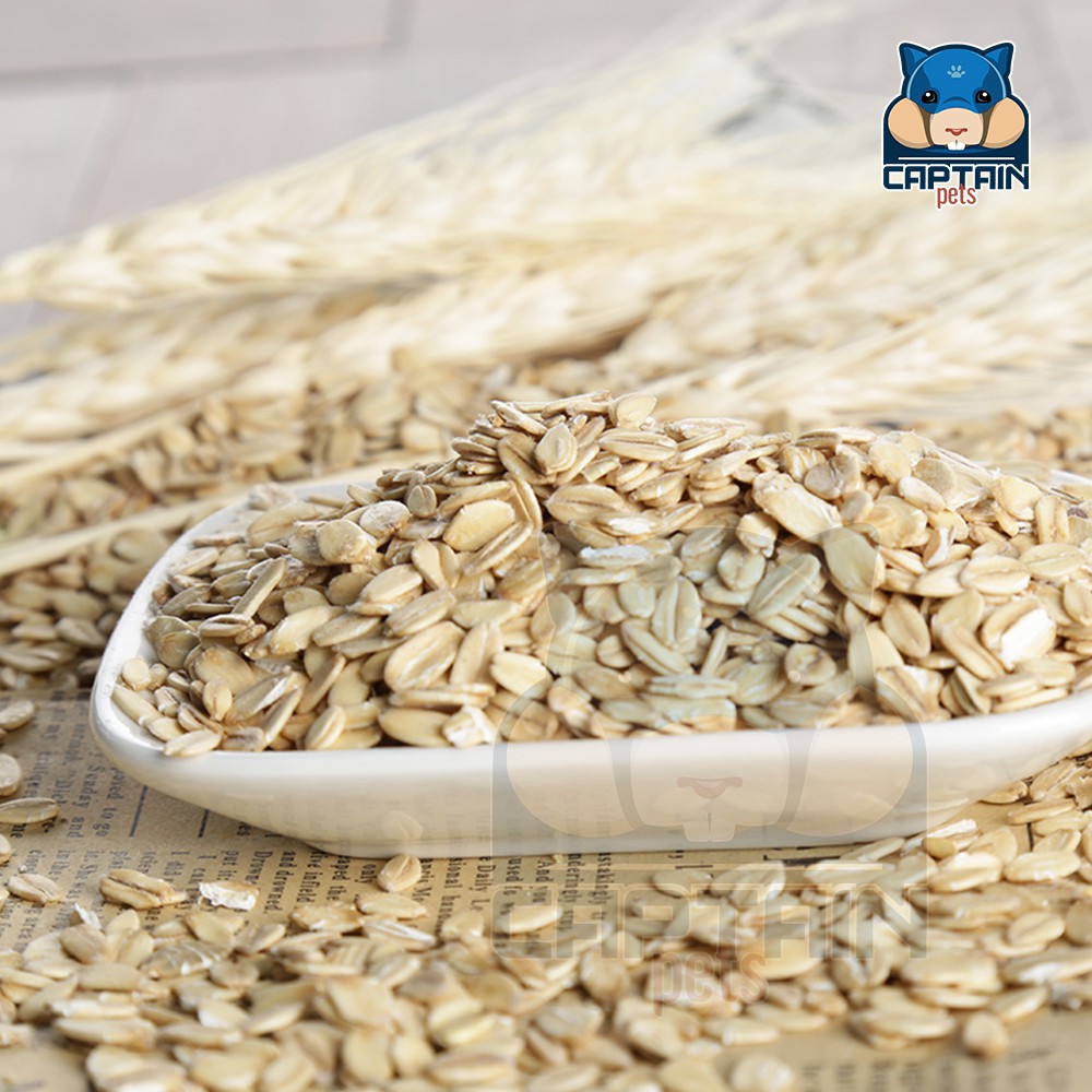 Đồ Ăn Vặt Cho Hamster - Yến mạch nguyên hạt