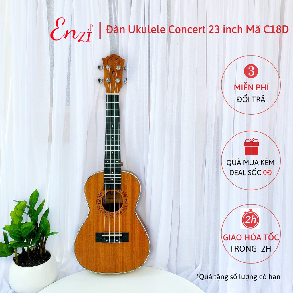 Đàn ukulele concert C18D Enzi 23 inch gỗ mộc viền tròn khóa đúc giá rẻ cho bạn mới bắt đầu tập chơi