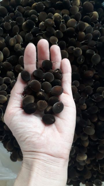 [Mã 267FMCGSALE giảm 8% đơn 500K] 300gram Xay nhung (Say nhung) rim đường nha trang chua chua ngọt ngọt | BigBuy360 - bigbuy360.vn