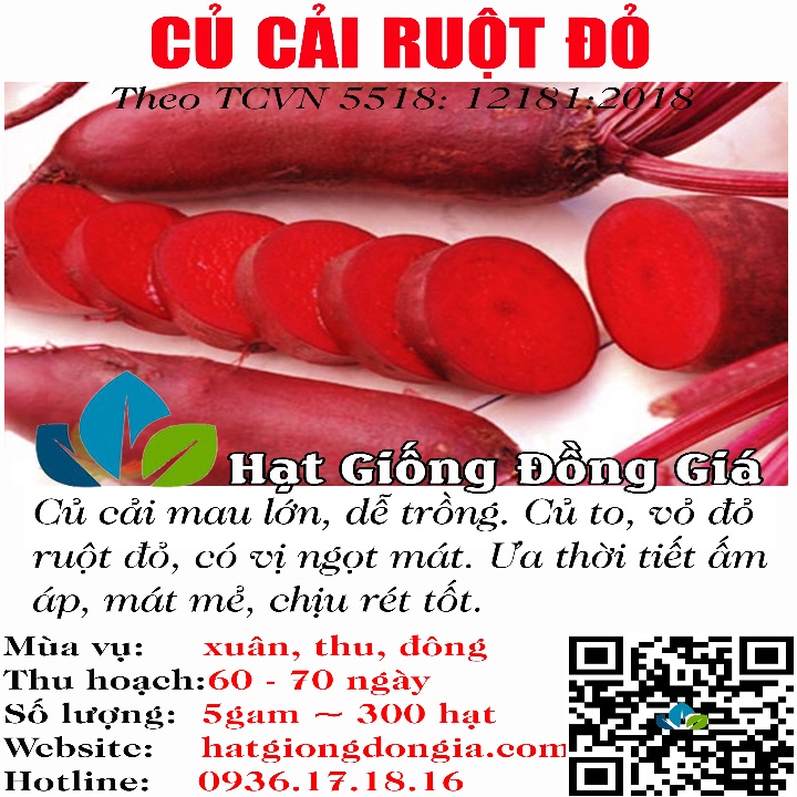 5Gram ~ 300 Hạt Giống Củ Cải Đỏ Dài Giòn Vỏ Đỏ, Ruột đỏ ( 5518)