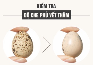Phấn nước A'PIEU TENSION X MARYMOND