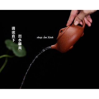 Ấm Tử Sa Nghi Hưng Thạch Biều 240 ml (Huyết Long Sa)
