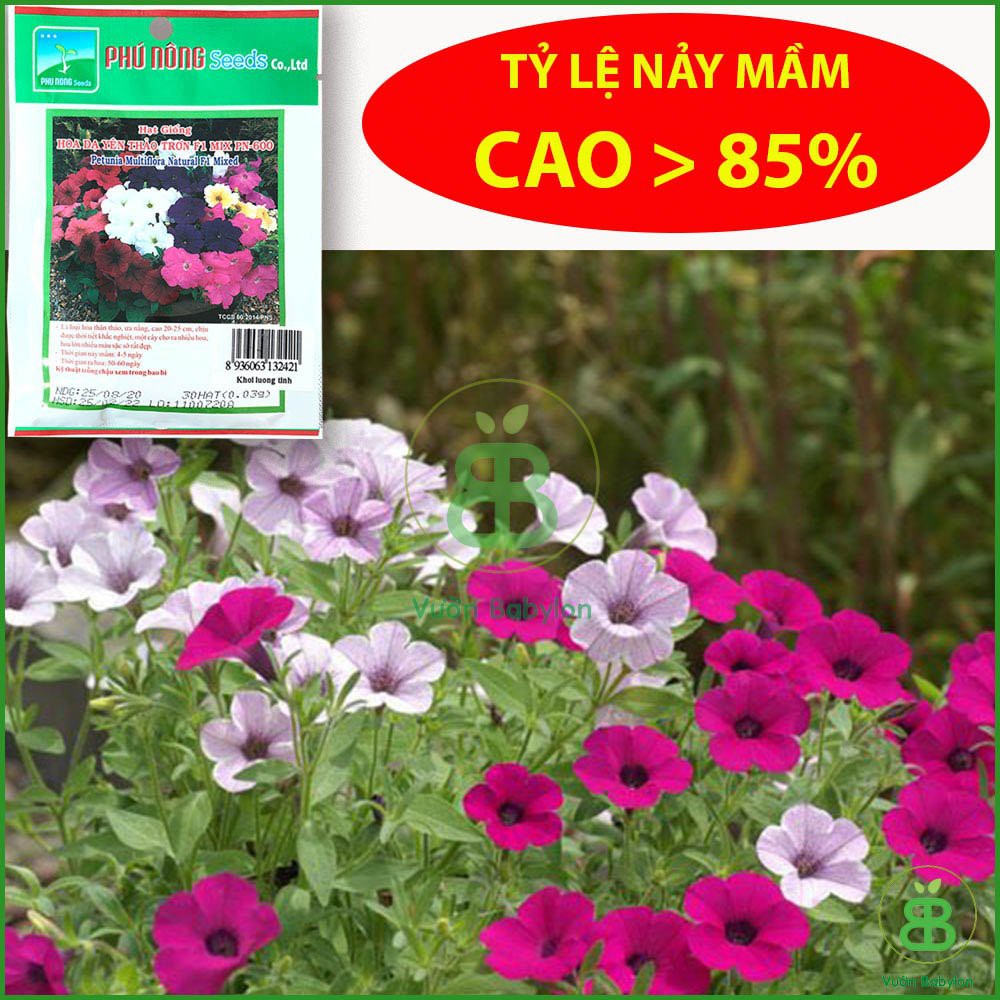 Hạt Giống Hoa Dạ Yên Thảo TRƠN 15 HẠT Mix Màu (Dạ yến thảo)