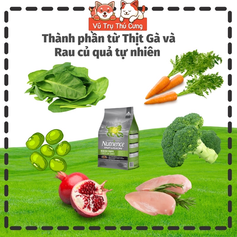 Hạt Nutrience Infusion cho Chó con, vị gà rau củ 500g
