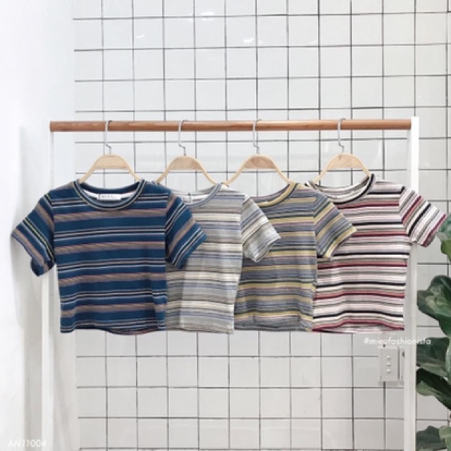 Croptop Miều🥙