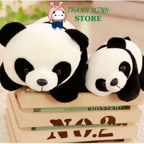 Gối Ôm Gấu Trúc Nhồi Bông 3D Tinh Khiết Gấu Bông Gối Ôm Gấu -Panda