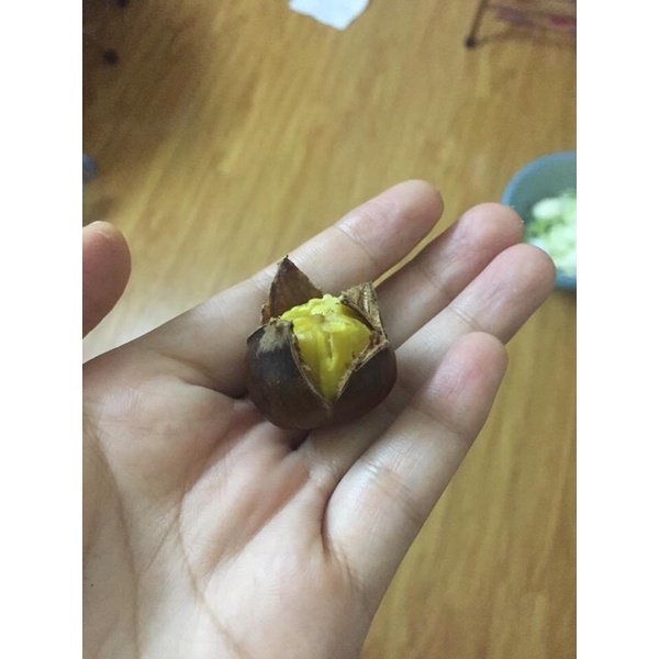 Hạt dẻ tươi Sapa