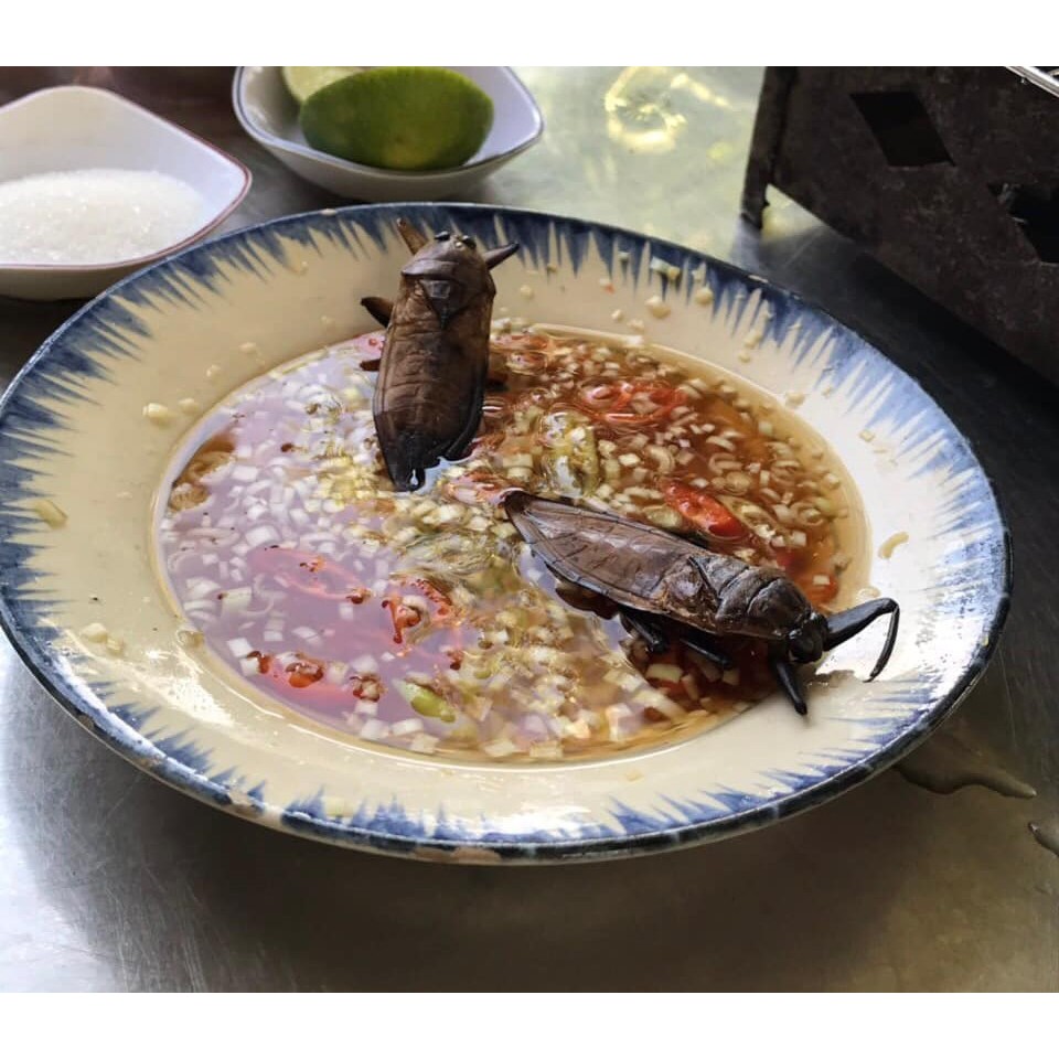 Nước mắm cà cuống hảo hạng nguyên con Hà Thành