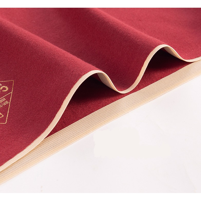 Quần Lót Cotton Kháng Khuẩn Không Đường May Chống Hằn Mới P096