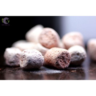 Vật Liệu Lọc NEO MEDIA - 100ml