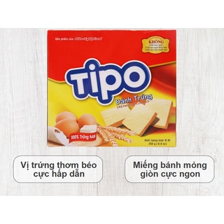 Bánh trứng Tipo
