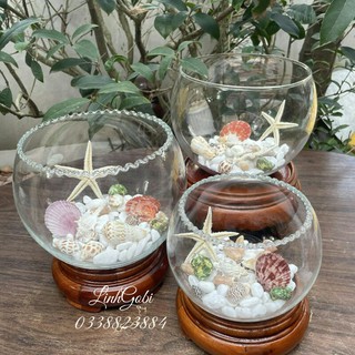 Phụ kiện trang trí bể cá