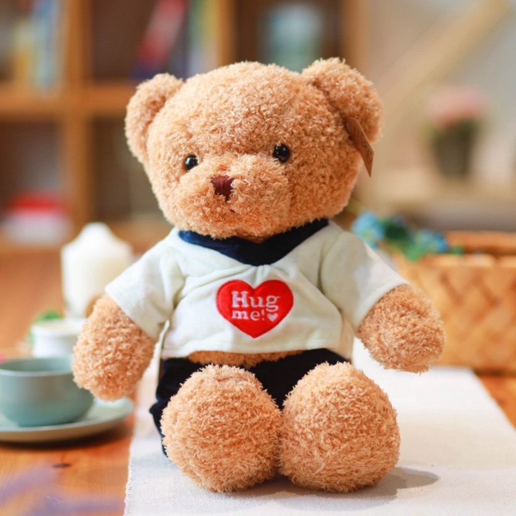Gấu Bông Teddy Đôi Hug Me - I love You- Teddy Nhồi Bông