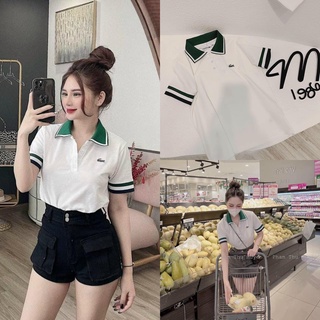 Áo polo cá sấu cổ xanh cao cấp