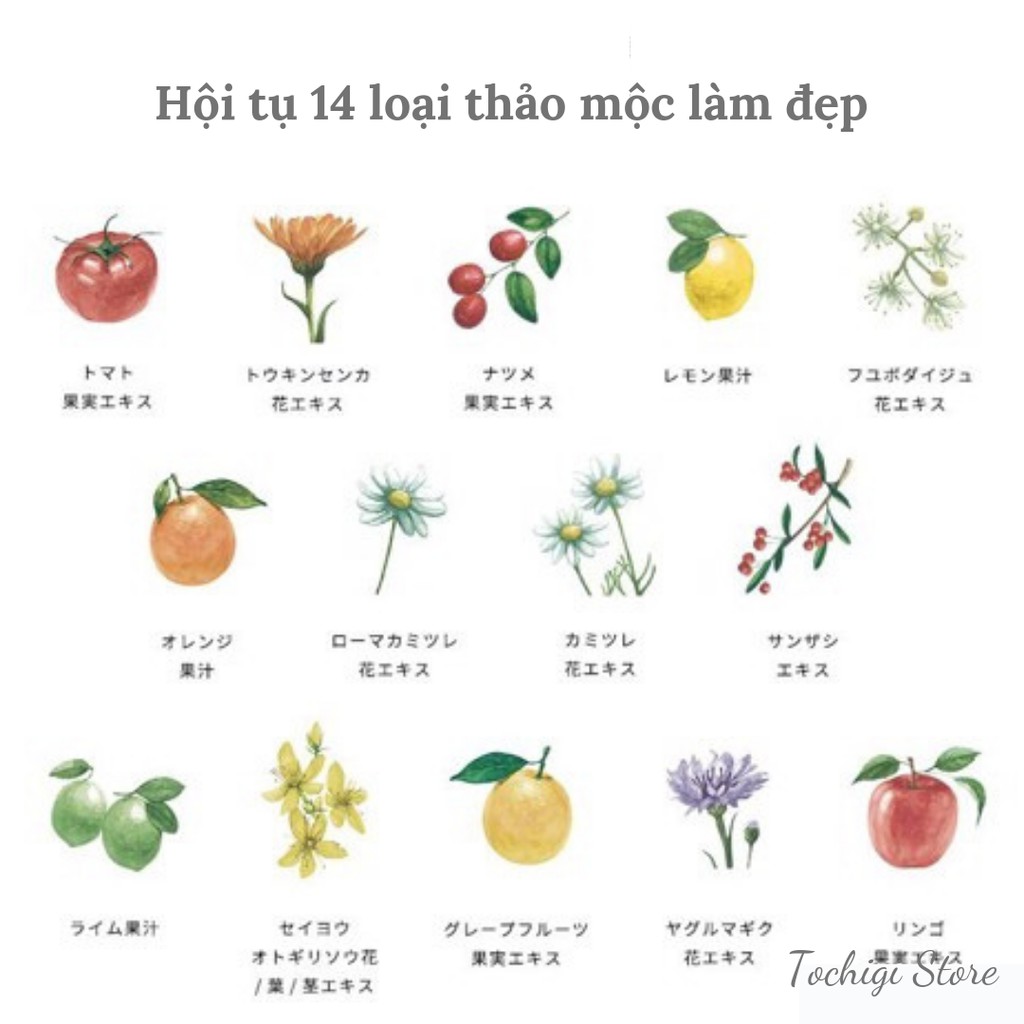 Sữa rửa mặt Botanical Marche thảo mộc | BigBuy360 - bigbuy360.vn