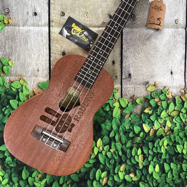 Đàn Ukulele Concert Thỏ Rabbit ❤️