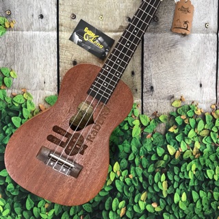 Đàn Ukulele Concert Thỏ Rabbit ❤️