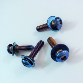 ốc gắn mão winner X ( 4 con )