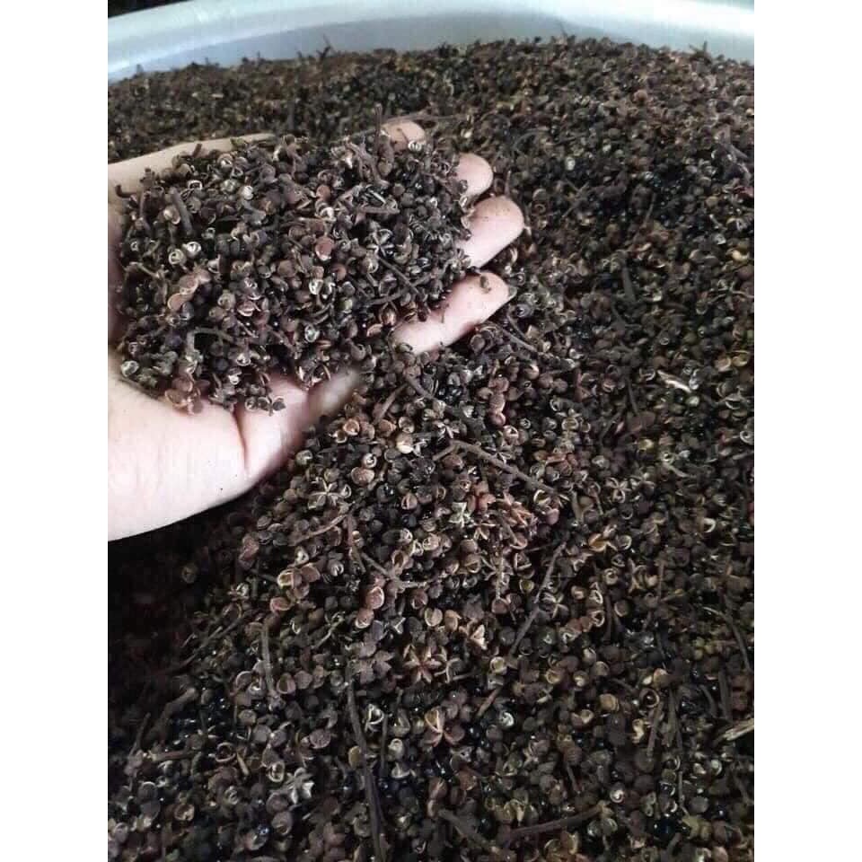 Hạt mắc khén (500g), gia vị tẩm ướp, chấm... chất lượng cam kết, hàng thơm phức, ngon bổ rẻ
