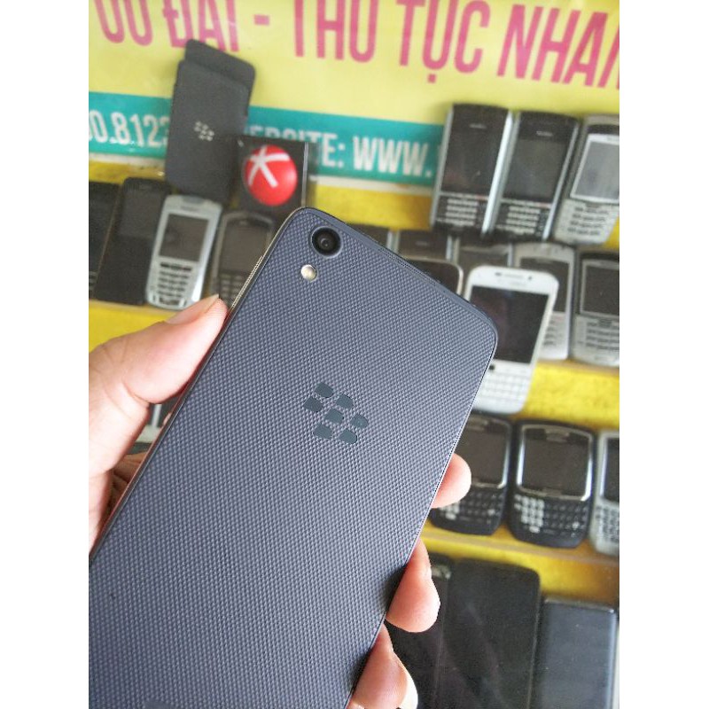 blackberry dtex 50