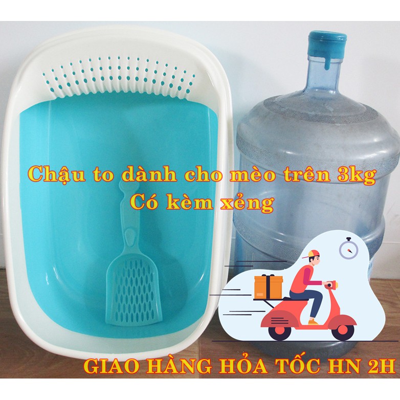 Chậu đựng cát cho mèo đi vệ sinh khay size to dành cho mèo lớn trên 3kg có kèm xẻng