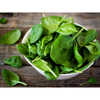 Bán Hạt Giống Rau Chân vịt ( bina) gói 20 gram tại Hạt Giống Bốn Mùa