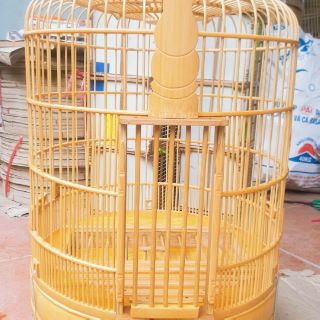 Lồng nuôi my