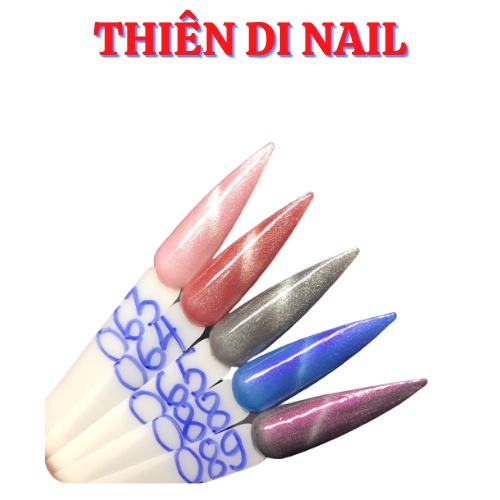 Sơn mắt mèo VANDONNIE 63-89 Thiên Di Nail