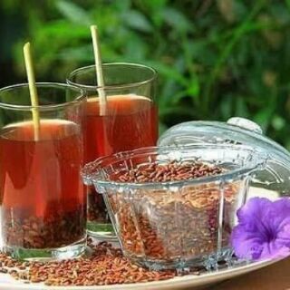 TRÀ GẠO LỨC NẢY MẦM