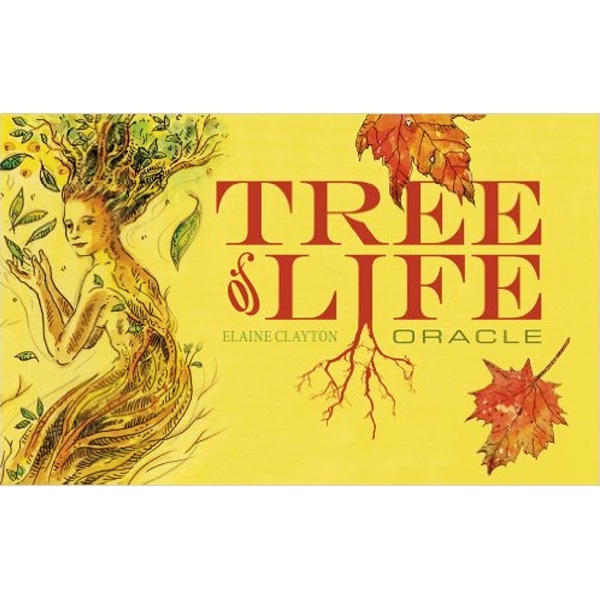 Bộ Bài Tree of Life Oracle (Mystic House Tarot Shop) - Bài Gốc Authentic Chính Hãng 100%
