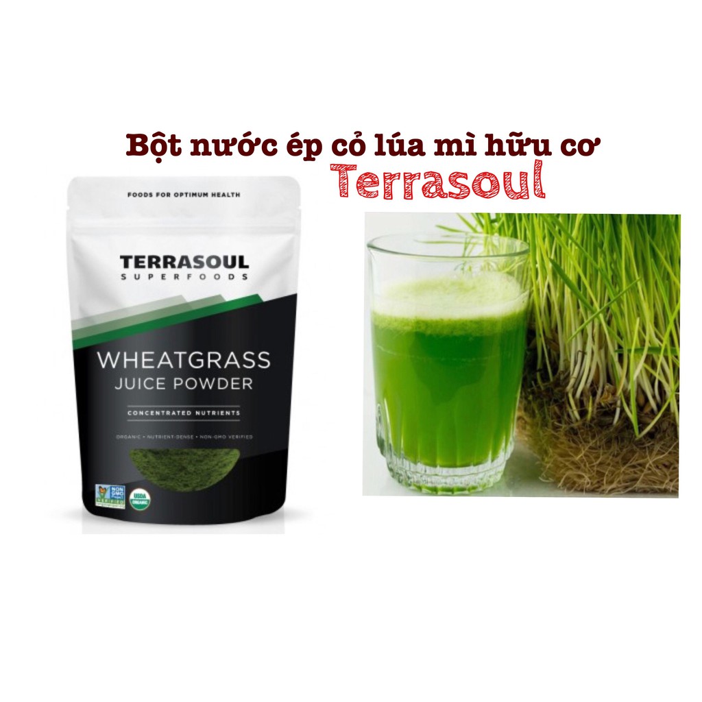 [Mã GROSALE2703 giảm 8% đơn 250K] Bột nước ép cỏ lúa mì hữu cơ Terrasoul - Wheatgrass Juice Powder Terrasoul