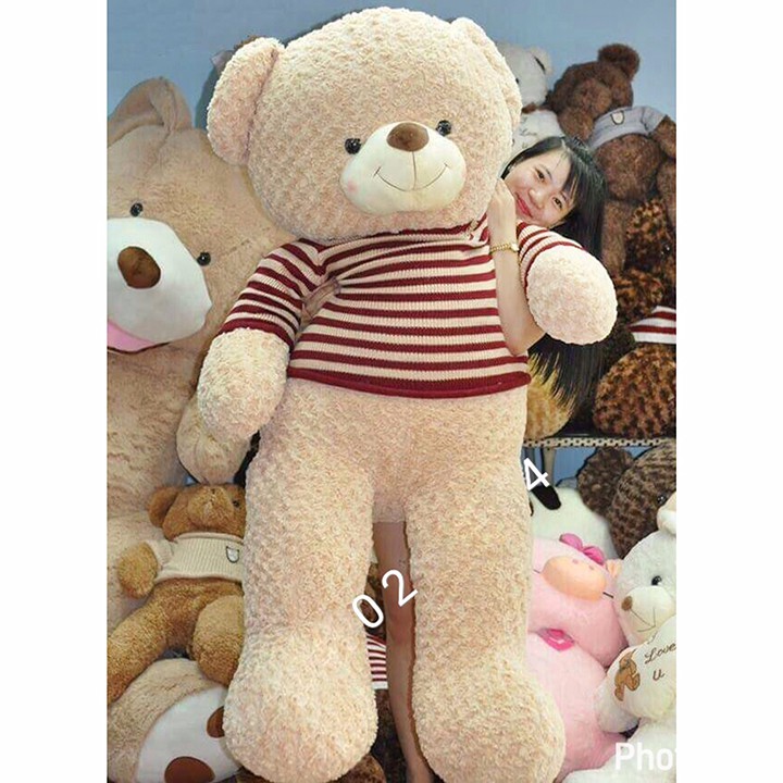 [Hoàn 50K Xu] Gấu Bông Teddy cỡ lớn Khổ vải 1m8 cao 1m6 hàng cao cấp