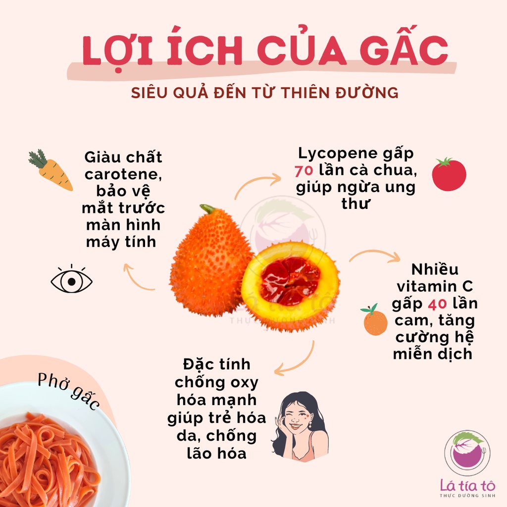 PHỞ GẠO LỨT GẤC 500GR / HỦ TIẾU GẤC - LÁ TÍA TÔ